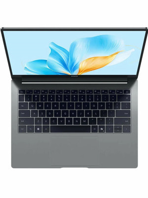  Honor MagicBook X14 2025 FRG-X 14 Intel Core i5-13420H/16/12GB/Space Gray (5301ALXL) (,  1)