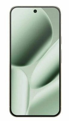  Google Pixel 10 Pro XL 16/256Gb, Jade Green () , Dual: nano SIM + eSIM (,  1)