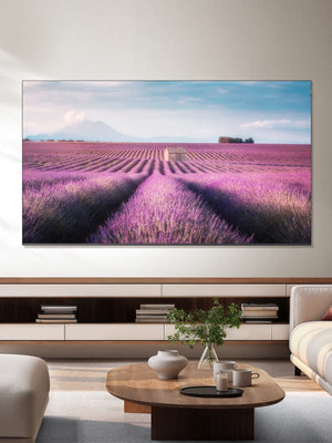 ��������� TCL 55" Q6CS QD-Mini LED 4K HDR Google TV, ����� ��, 55 ������ (����, ��� 1)