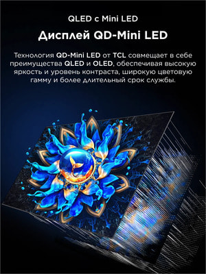 ��������� TCL 55" Q6CS QD-Mini LED 4K HDR Google TV, ����� ��, 55 ������ (����, ��� 3)