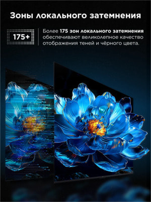 ��������� TCL 55" Q6CS QD-Mini LED 4K HDR Google TV, ����� ��, 55 ������ (����, ��� 4)