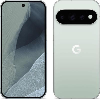 �������� Google Pixel 11 pro 12/256GB, Dual: nano SIM + eSIM, Fog (����, ��� 4)