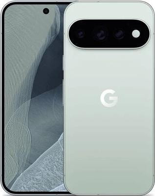 �������� Google Pixel 11 pro 16/512GB, Dual: nano SIM + eSIM, Fog (����, ��� 1)
